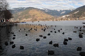 Zell am See